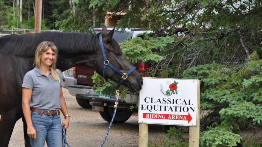 welcome to classical equitation!