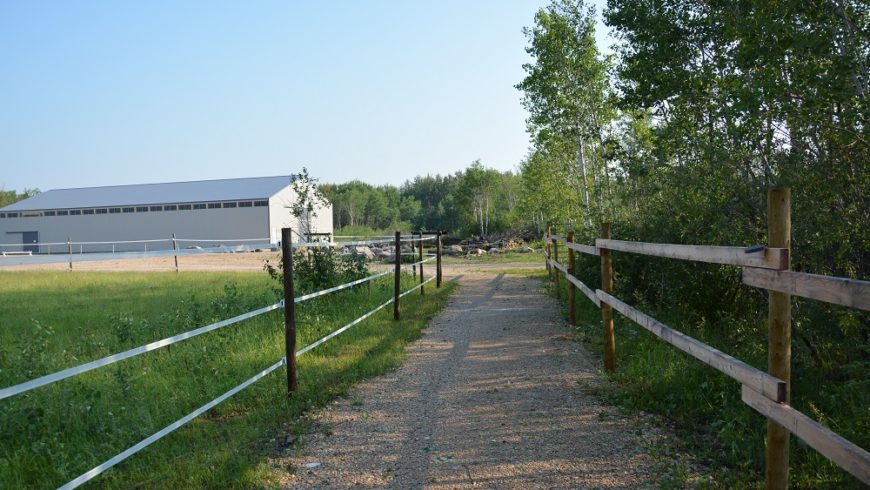 Trail to the Arena