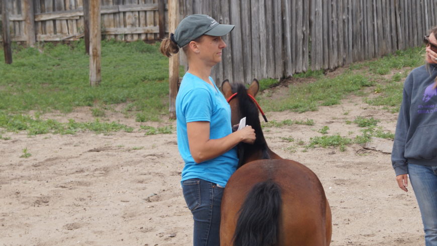 Equine Assisted Learning 5