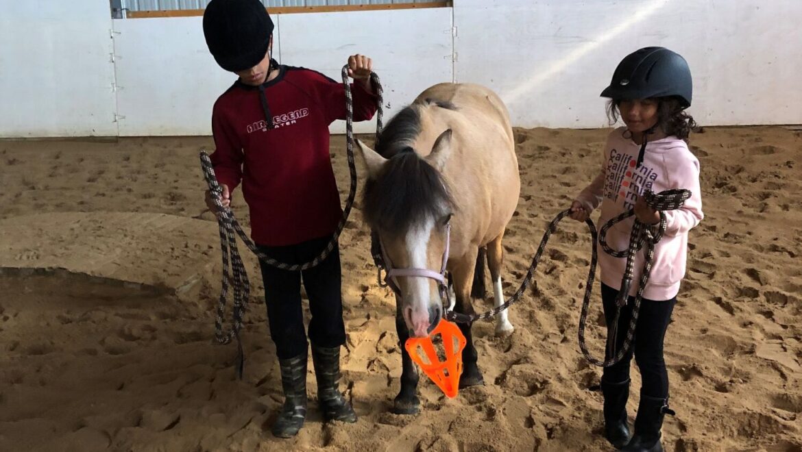 Equine Assisted Learning 4