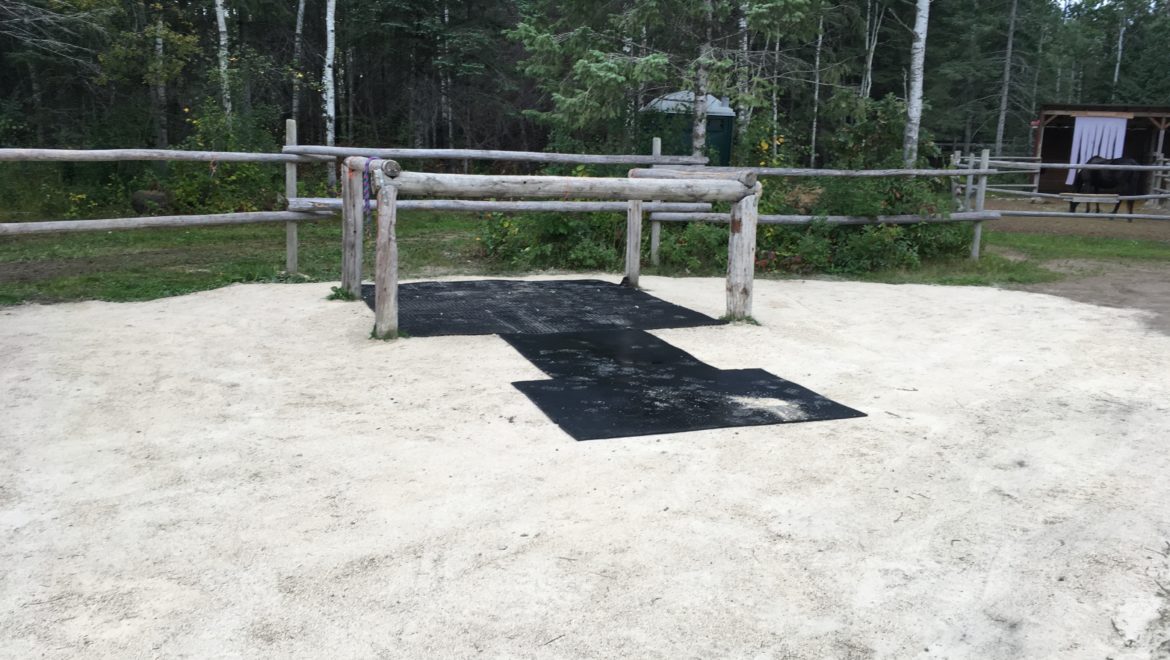 fresh ground for tack up area