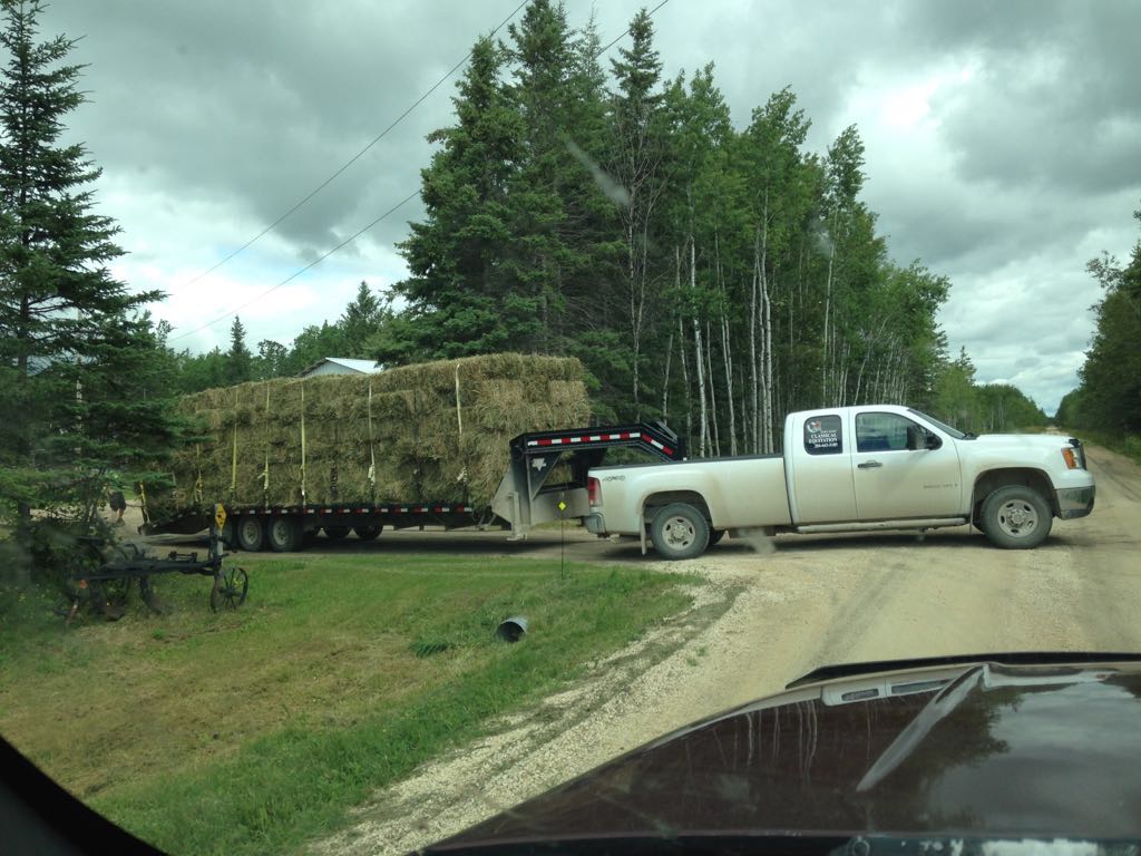 another load of hay